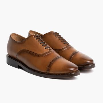 Brown Thursday Broadway Leather Men's Dress Shoes | NZ358LIS