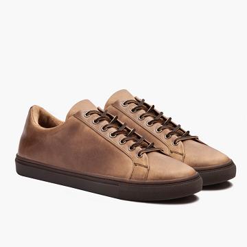 Brown Thursday Premier Low Tops Leather Men's Sneakers | NZ372TCE