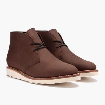 Brown Thursday Scout Leather Men's Chukka Boots | NZ69CTV
