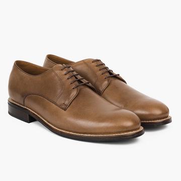 Brown Thursday Statesman Leather Men's Dress Shoes | NZ33YXF