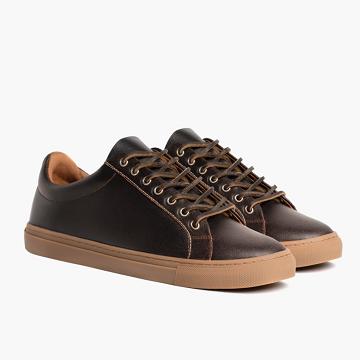 Burgundy Thursday Premier Low Tops Leather Men's Sneakers | NZ377MQZ