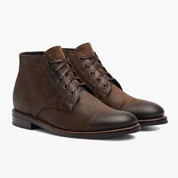 Coffee Thursday Cadet Suede Men's Chukka Boots | NZ74JPQ