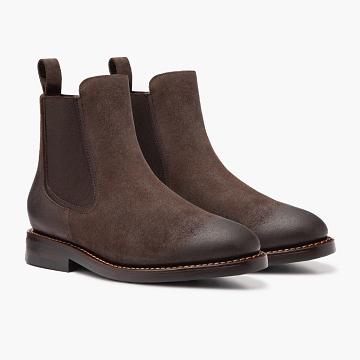 Coffee Thursday Duke Suede Men's Chelsea Boots | NZ90QMA