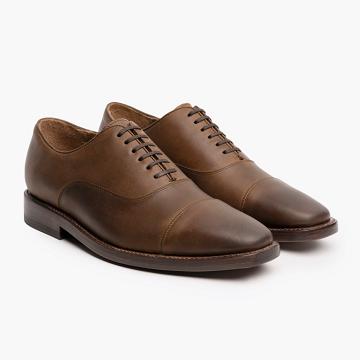 Coffee Thursday Executive Leather Men's Dress Shoes | NZ355CTV