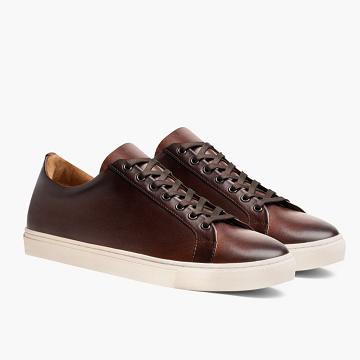 Coffee Thursday Premier Low Tops Leather Rugged & Resilient Men's Sneakers | NZ371YXF
