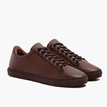 Coffee Thursday Premier Low Tops Leather Men's Sneakers | NZ375WNB