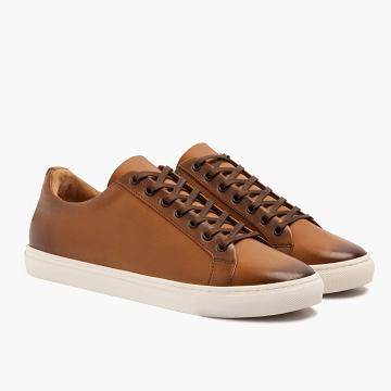 Gold Thursday Premier Low Tops Leather Rugged & Resilient Men's Sneakers | NZ370UZG