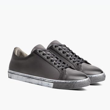 Grey Thursday Premier Low Tops Leather Men's Sneakers | NZ376QMA